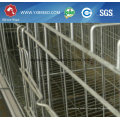 Poultry Farming Equipment Layer Chicken Cage